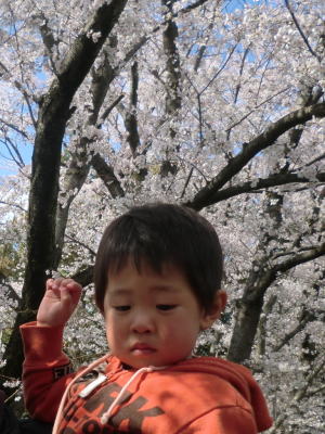 花見weekけいごん４