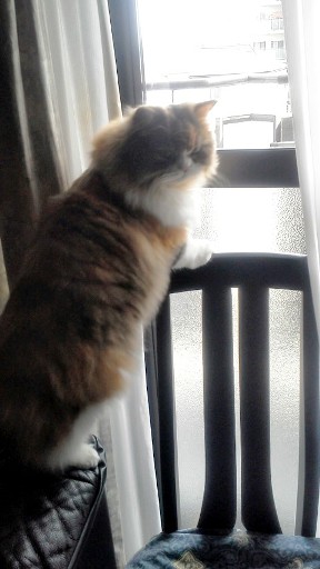 20140401123237.jpg