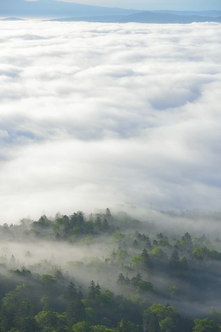 オホーツク 美幌峠 雲海 美幌町 H260622撮影