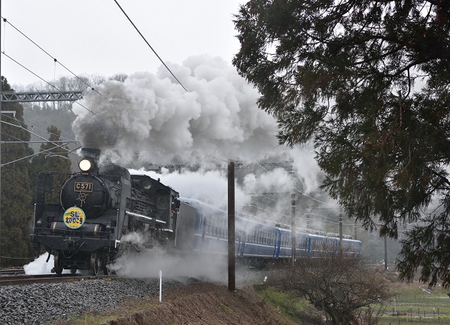 2015.03.01 3号　.jpg