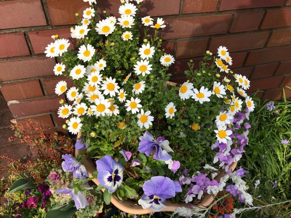 rblog-20190401163447-04.jpg