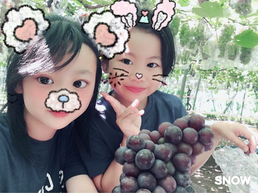 rblog-20180821012403-00.jpg