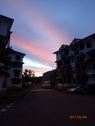 P2040029.JPG