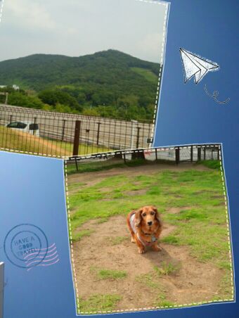 rblog-20140621215241-00.jpg