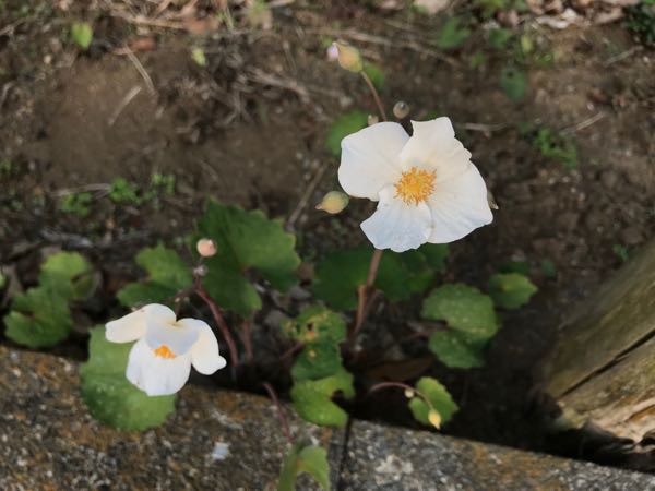 rblog-20180408180729-05.jpg