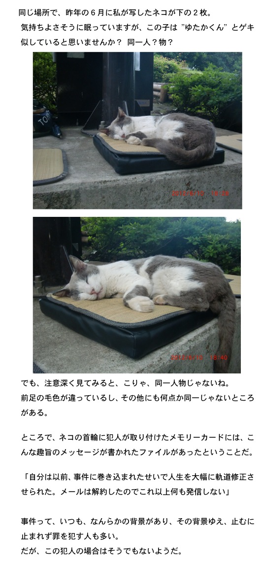 2013.01.08-2.jpg