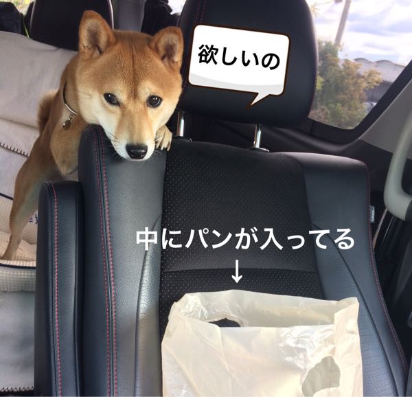 rblog-20161110023545-01.jpg