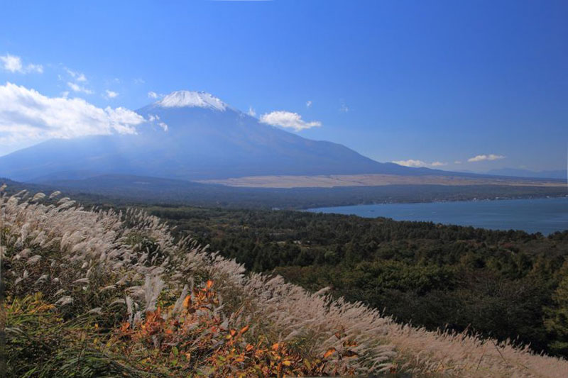 パノラマ展望台_003.jpg