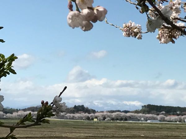 rblog-20170418200000-04.jpg