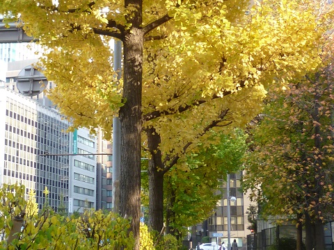 P1270480.JPG