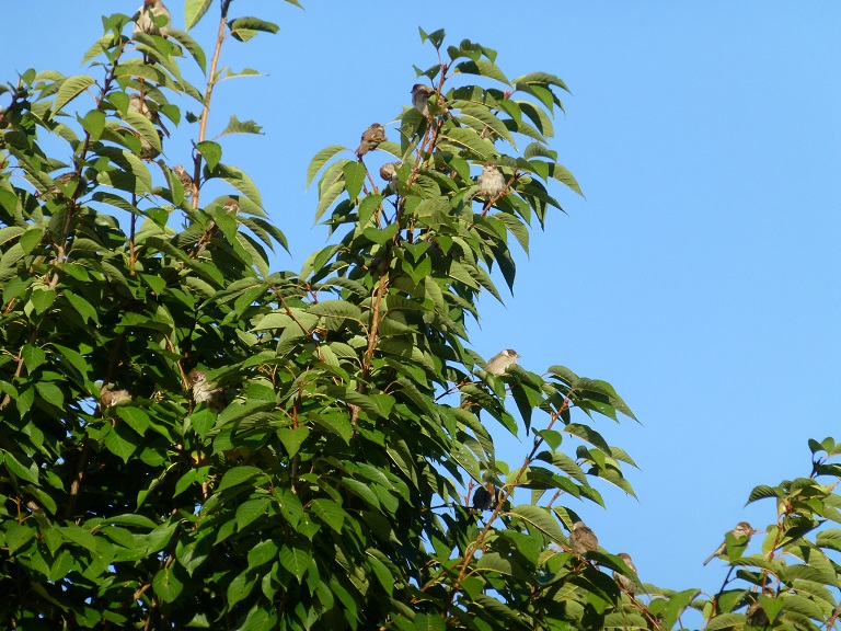 P1090211.jpg