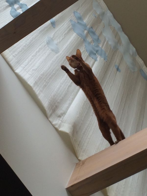 rblog-20140521114340-01.jpg