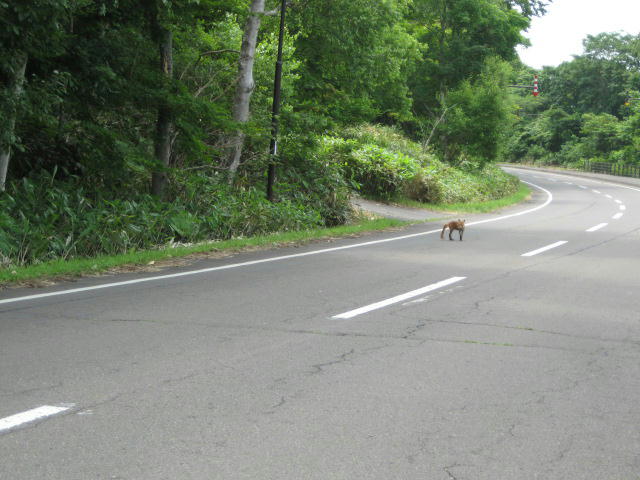 IMG_8801.JPG