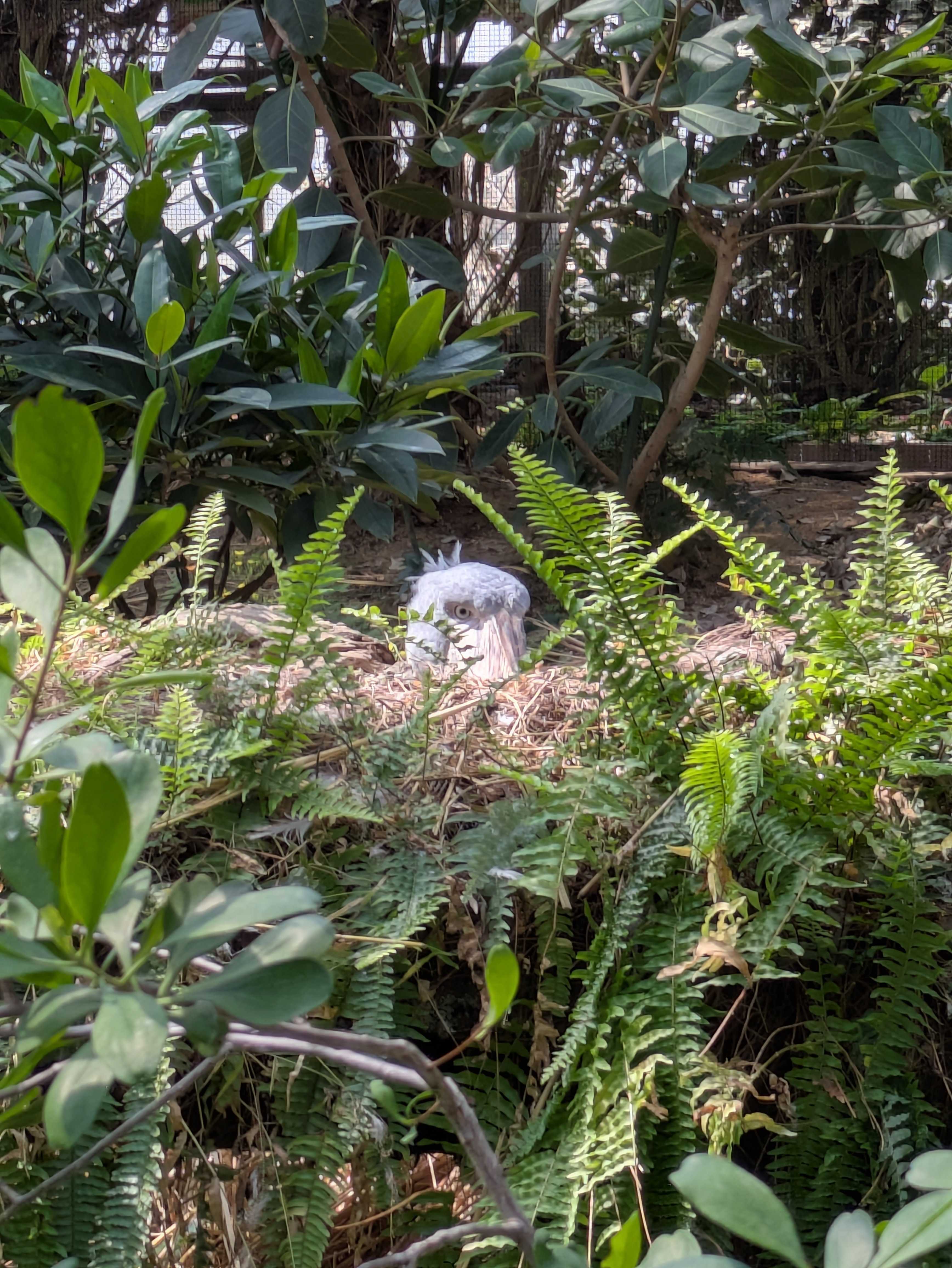 編み物にはまった子育てママブログ