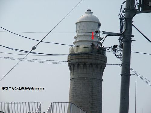 DSCF2505.jpg