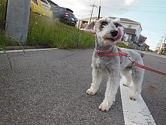 conv0390.JPG