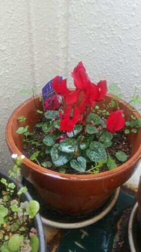 rblog-20170320111023-01.jpg