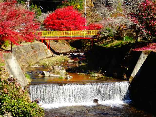 DSC08478_R.JPG