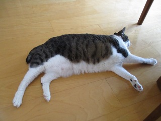 IMG_0483ss.jpg