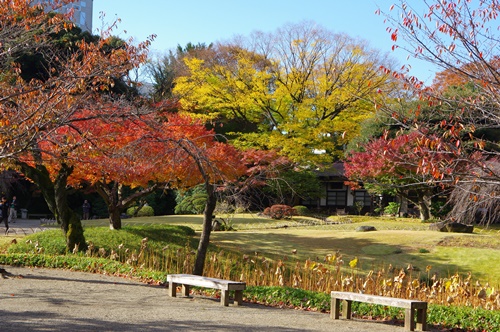 小石川後楽園