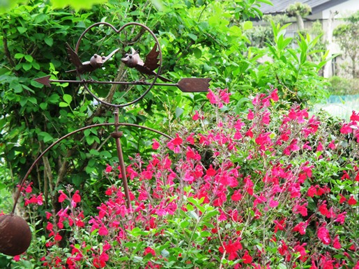IMG_2824ｳｴﾙｶﾑブログ.jpg