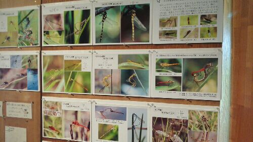 rblog-20150605155404-01.jpg