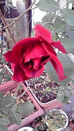 2012112014230000.jpg