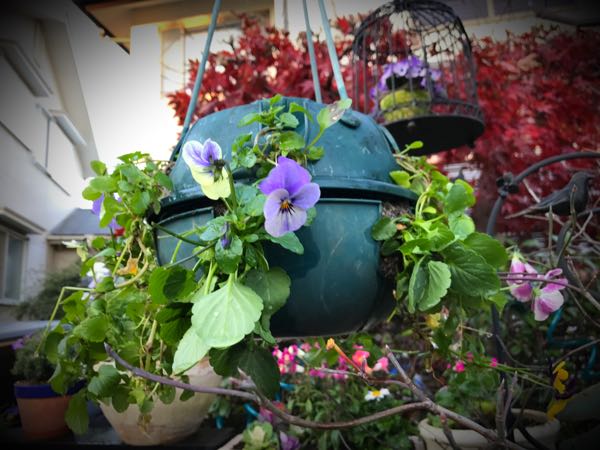 rblog-20161129162243-09.jpg