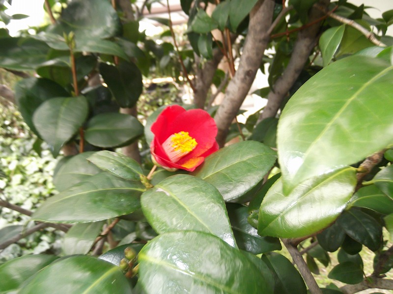 DSCF1319.jpg