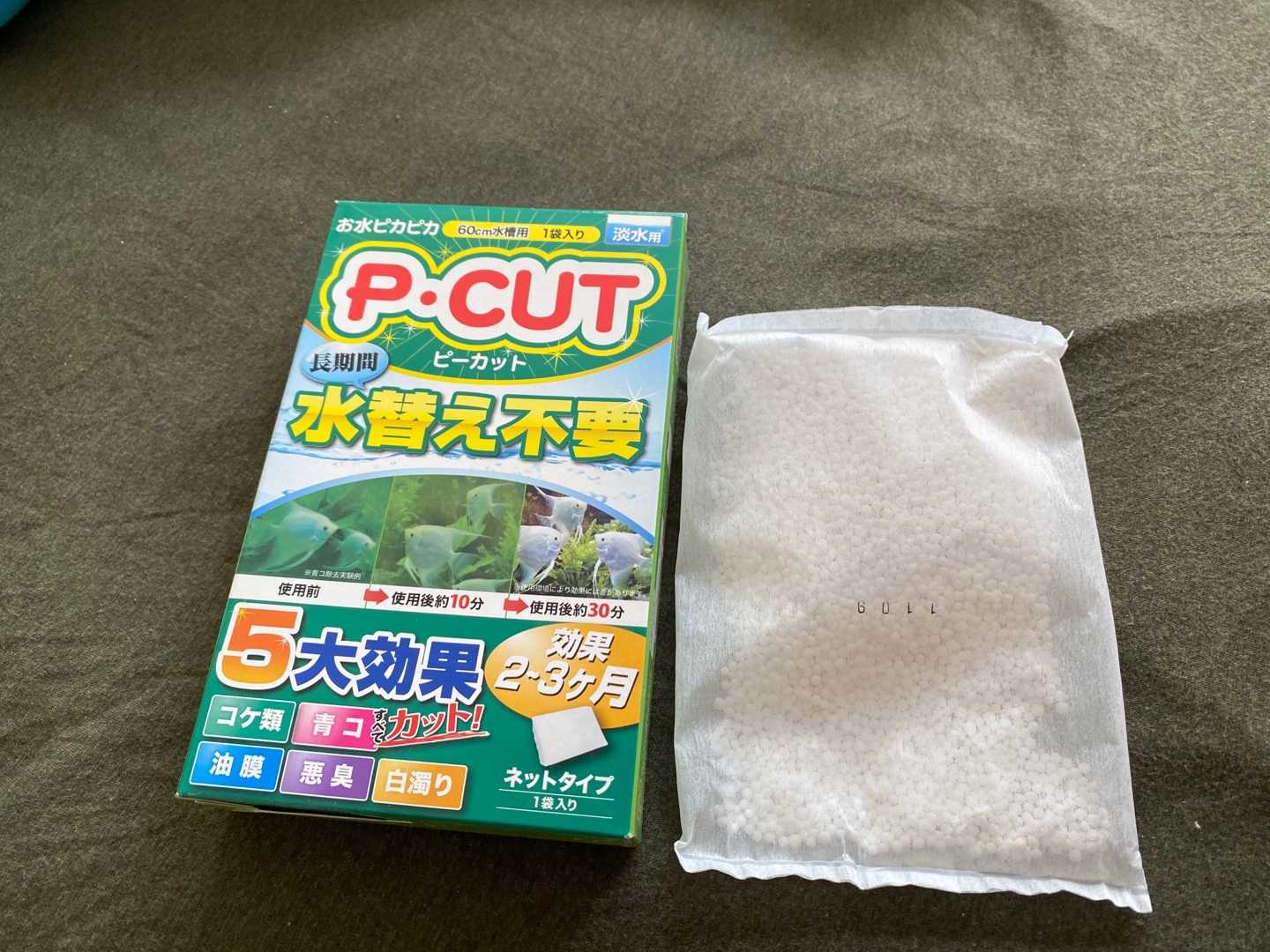 背面濾過水槽 淡水 ありえないありえる水槽を作りたい ヲカマの日記 楽天ブログ