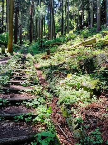 金鑚神社（かなさなじんじゃ）から御嶽山・御嶽城跡 低山登山 | 家一軒を解体してみたら いろいろやってみたくなる - 楽天ブログ