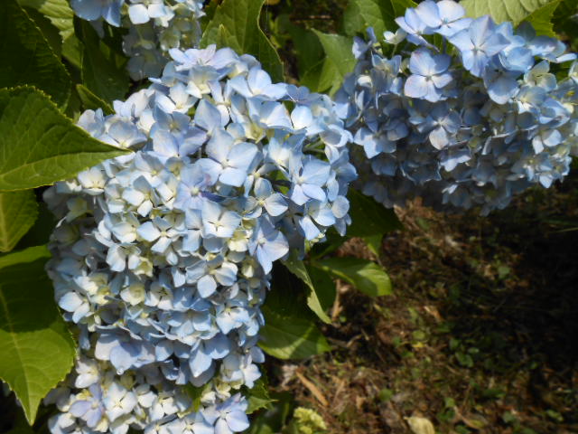DSCN0254.JPG