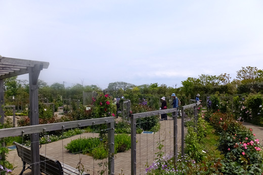 DSCF4579.jpg