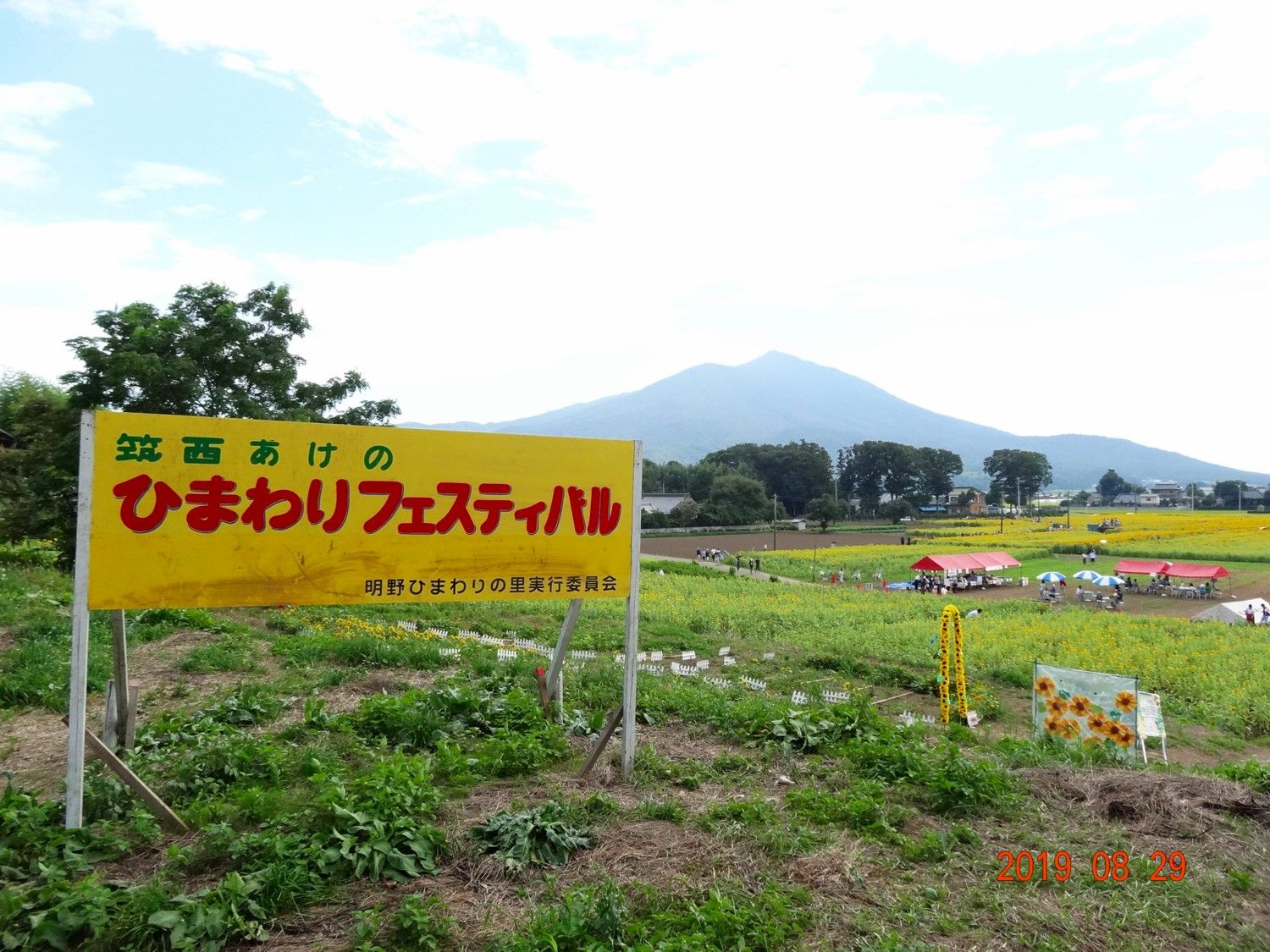 １００万本の ひまわり畑 茨城 明野 ２０１９年８月２９日 山と空が友だち ドローンで空撮 楽天ブログ