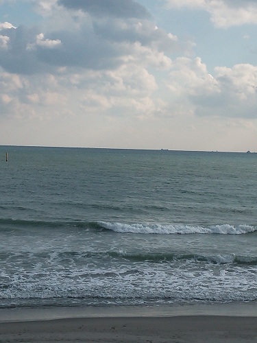 DSC_0017-2.jpg