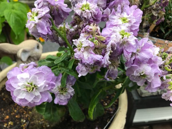 rblog-20190426180928-03.jpg