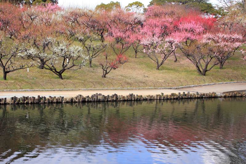 緑ヶ丘公園_004.jpg