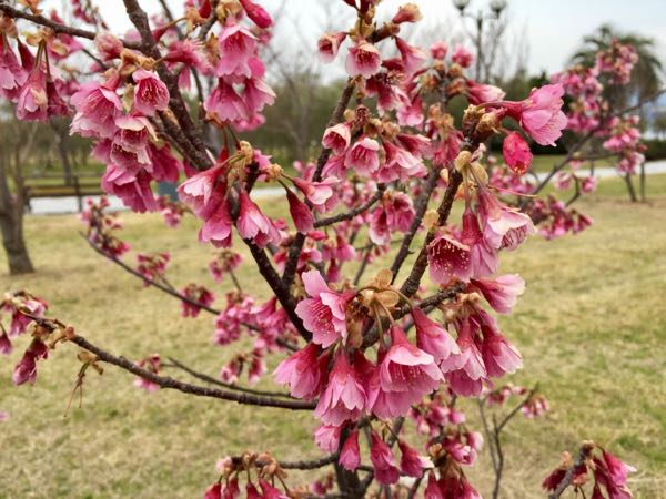 rblog-20170318222156-02.jpg