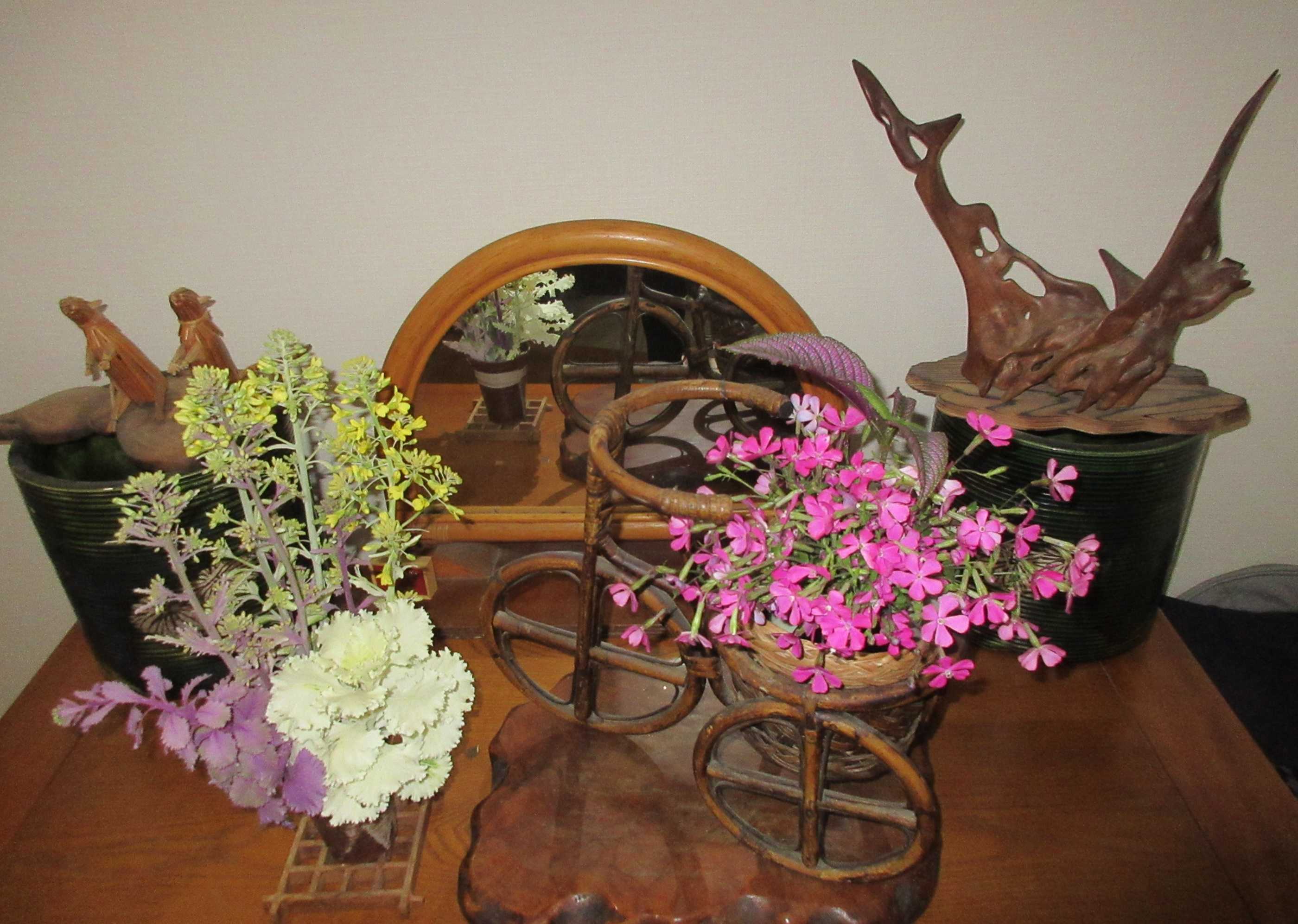 ツルコザクラではなくシレネピンクパンサーと狭い庭の入れ替え 狭い庭を花いっぱいにする育て方 楽天ブログ