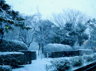 城南公園　1.17　2015