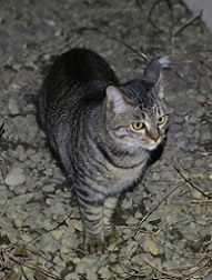 5DA_0394-25.jpg