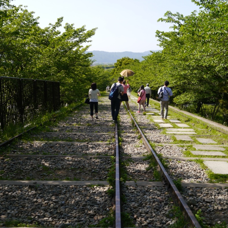 P1070348.JPG