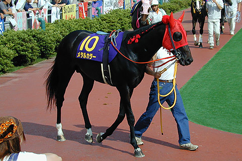150806-007.jpg