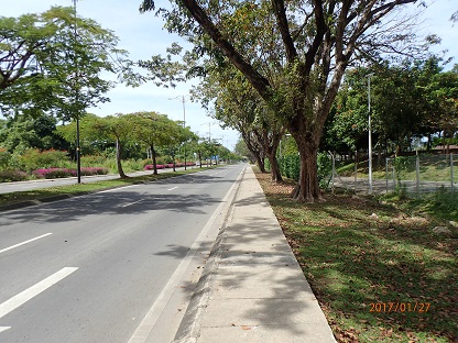 P1270019.JPG