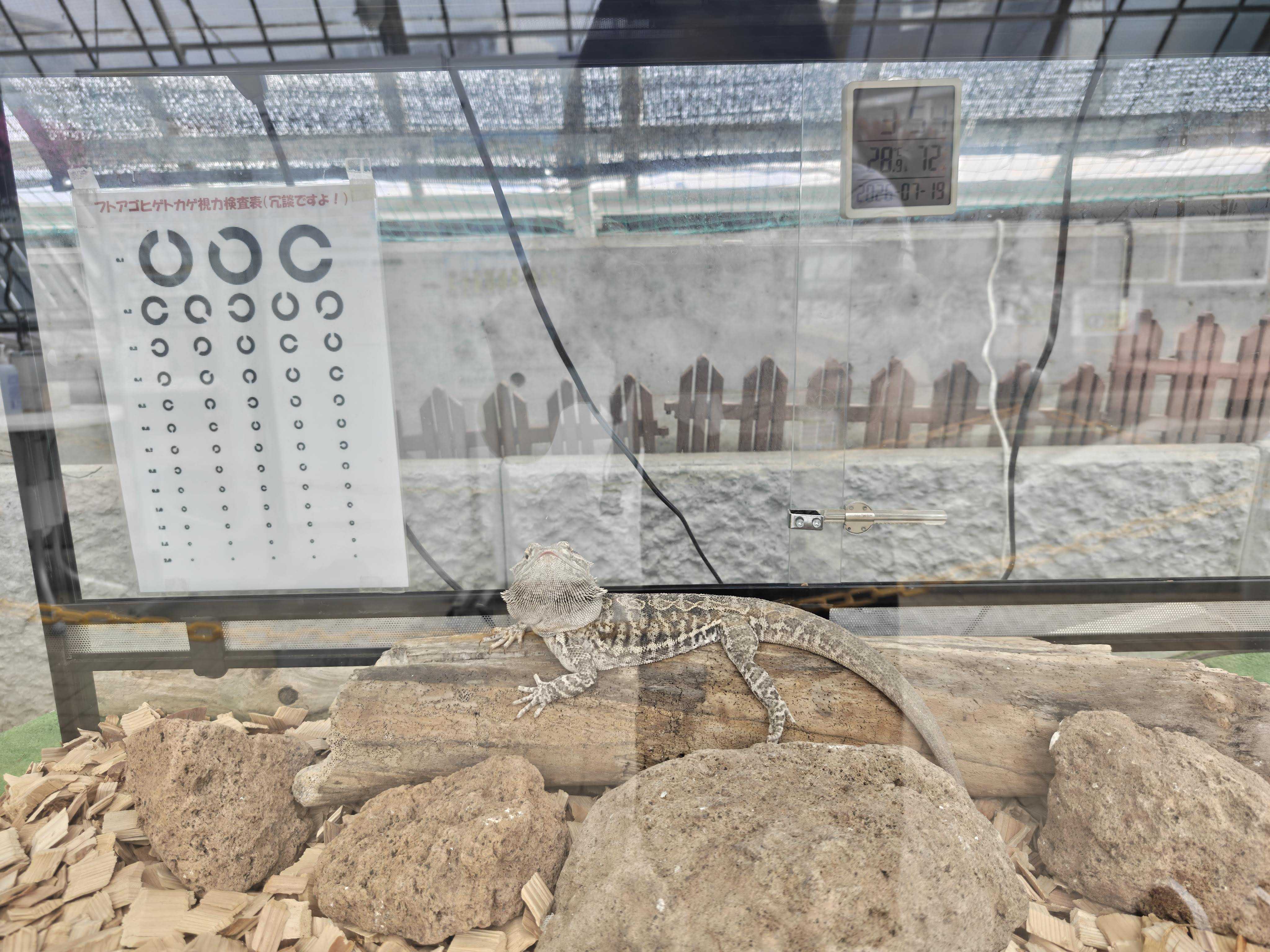 函館市熱帯植物園 生き物たち