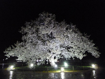 P1010544.jpg