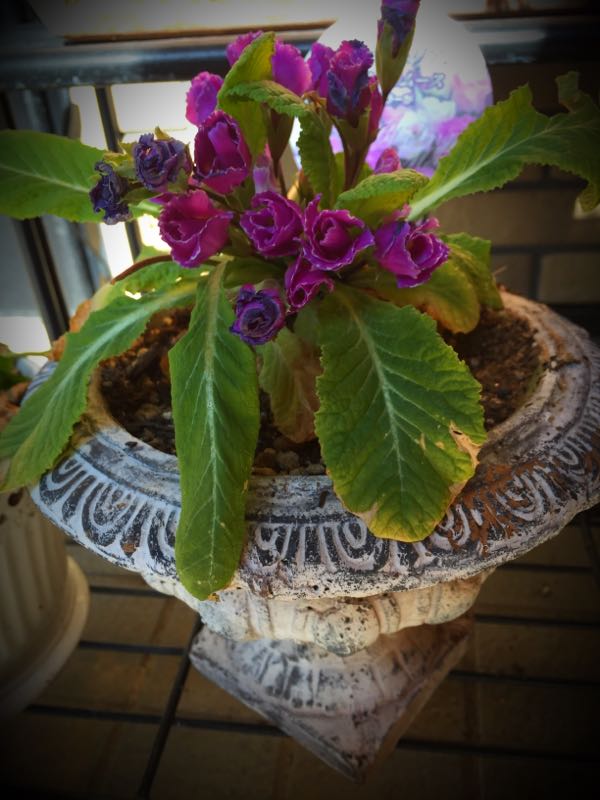 rblog-20150227215626-04.jpg