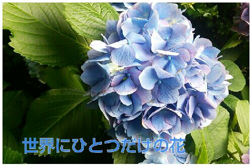 rblog-20160618201922-00.jpg