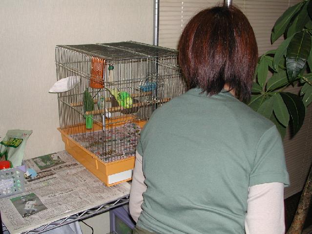 DSCN4960.jpg