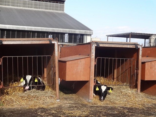 2012-11-22 11.55.48.jpg